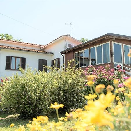 B&B Le Cinque Querce Viterbo Exteriör bild