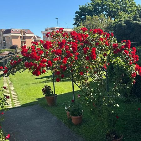 B&B Le Cinque Querce Viterbo Exteriör bild