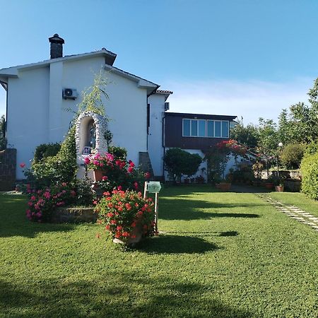 B&B Le Cinque Querce Viterbo Exteriör bild