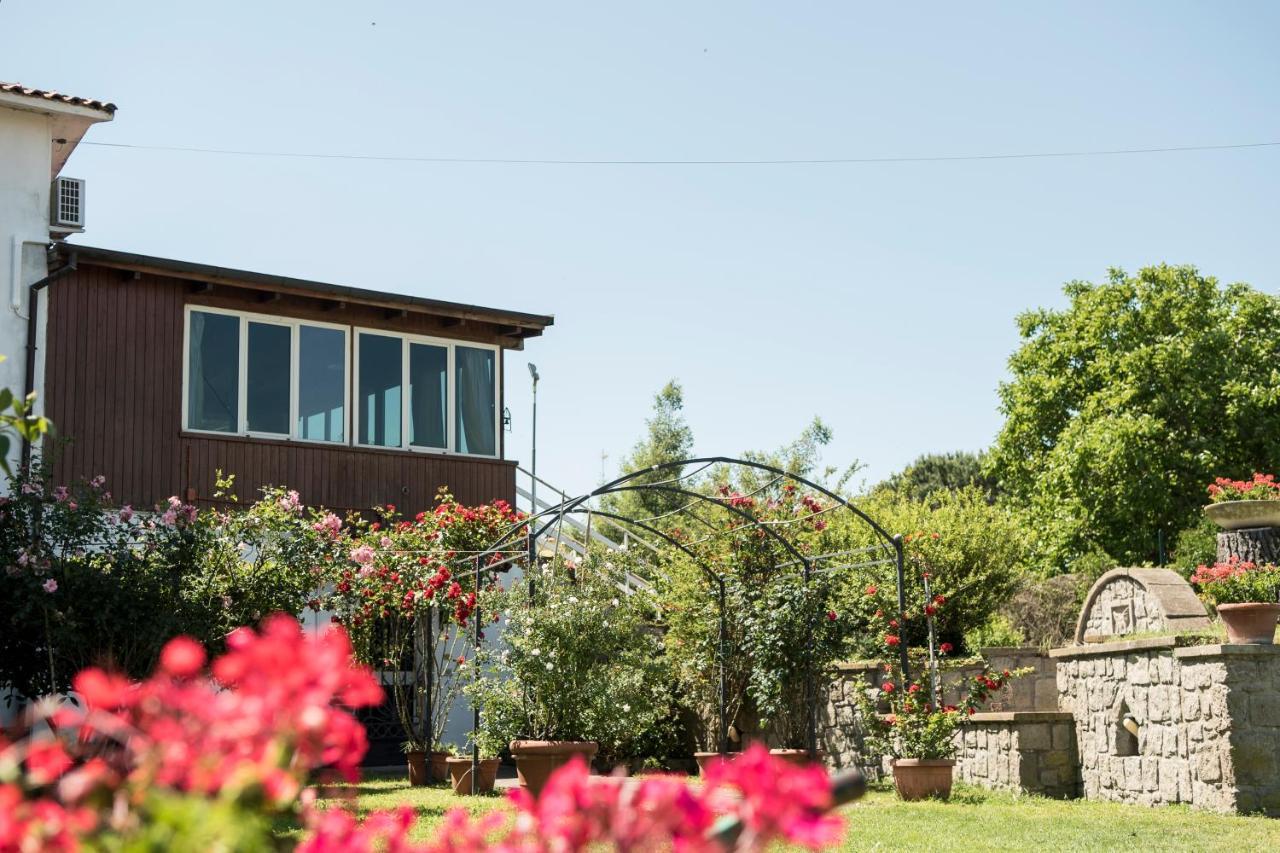 B&B Le Cinque Querce Viterbo Exteriör bild