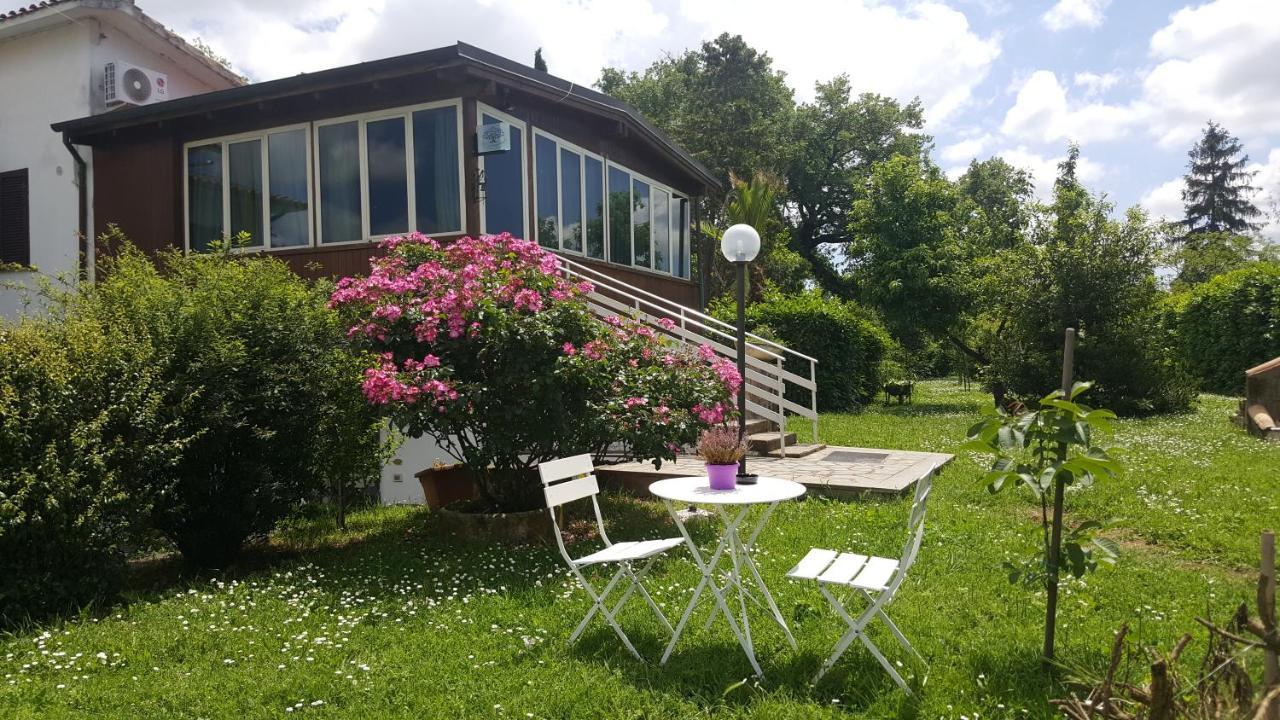 B&B Le Cinque Querce Viterbo Exteriör bild