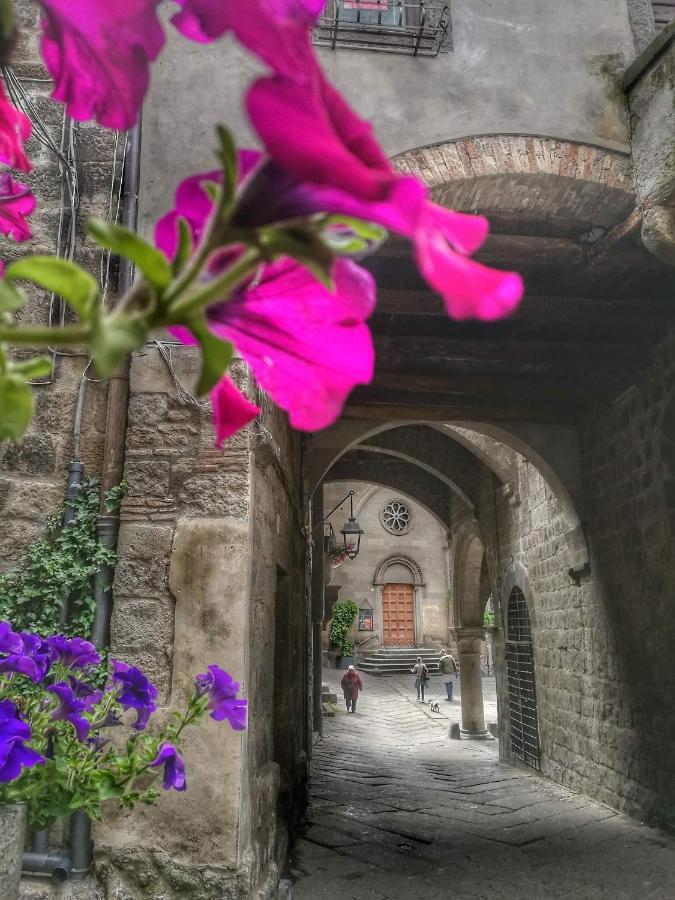 B&B Le Cinque Querce Viterbo Exteriör bild