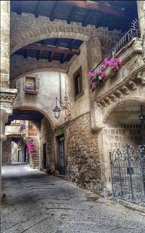 B&B Le Cinque Querce Viterbo Exteriör bild