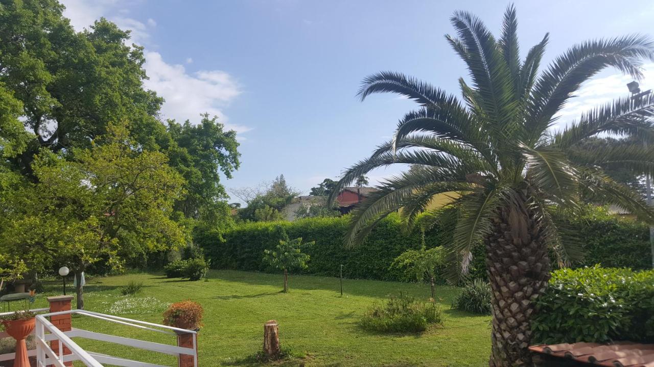 B&B Le Cinque Querce Viterbo Exteriör bild