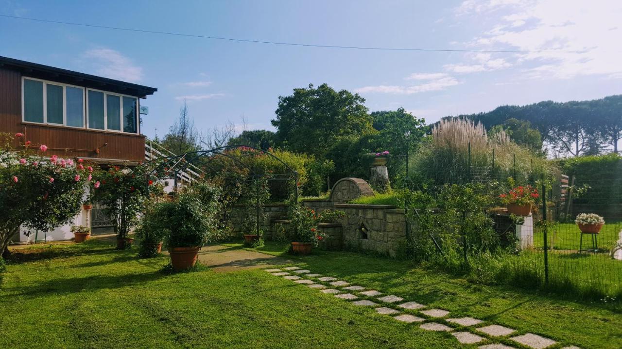 B&B Le Cinque Querce Viterbo Exteriör bild