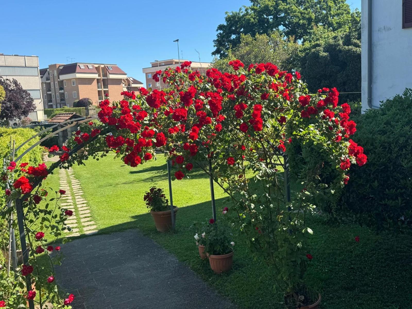 B&B Le Cinque Querce Viterbo Exteriör bild